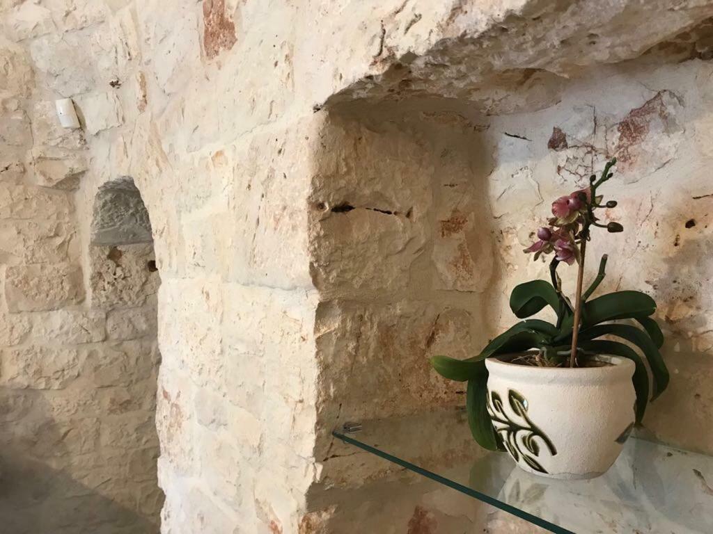 Trulli Da Lalli 奥斯图尼 外观 照片